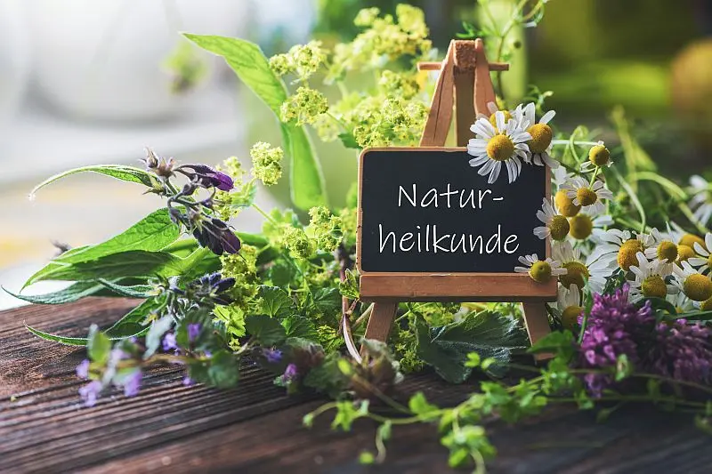 Ein Holzaufsteller mit der Aufschrift "Naturheilkunde" steht umgeben von bunten Heilkräutern, symbolisch für spirituelle Heilung.