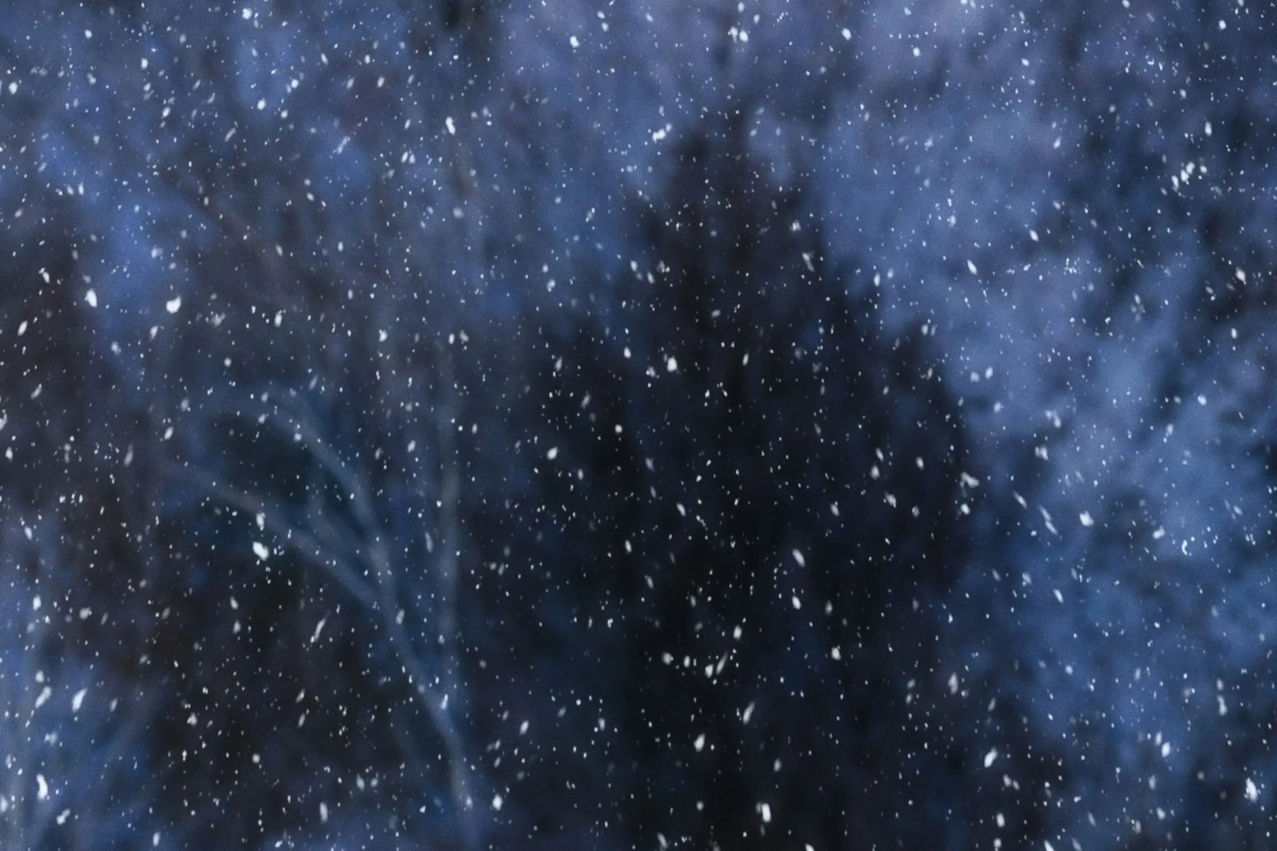 dillon-kydd-ffIIyc3EN58-unsplash